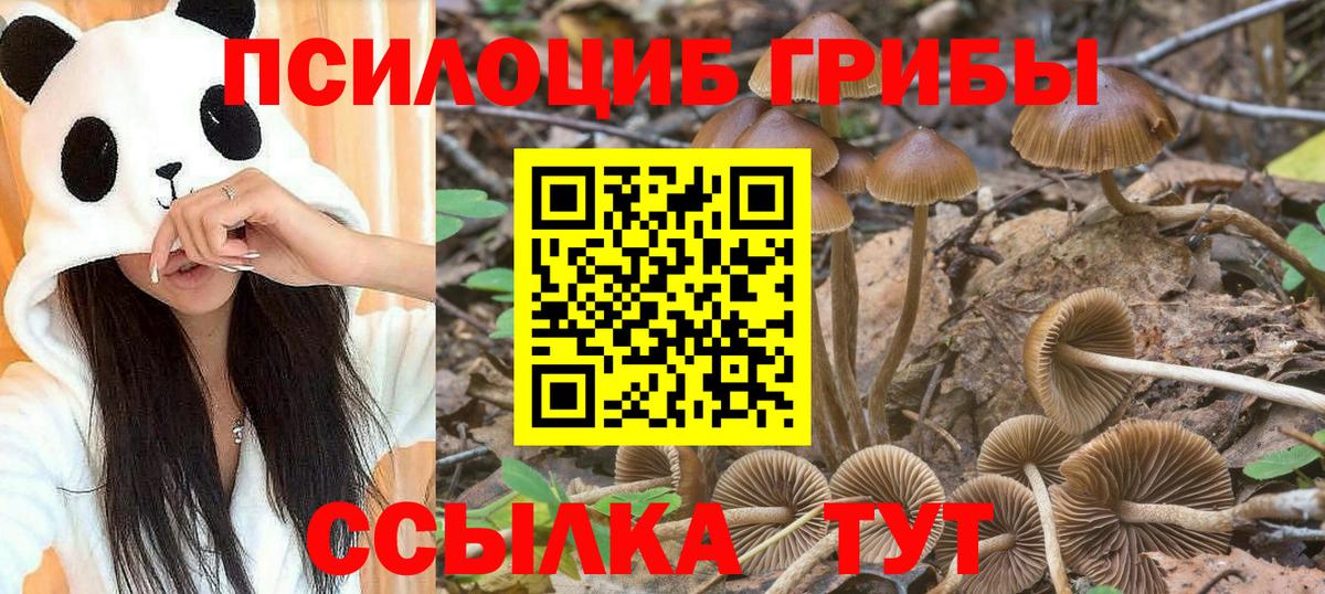 Новокубанск  Cocaine  НБОМе  МЕФ  ГАШ  Бошки Шишки  Вход с VPN  Меф МЯУ МЯУ   COCAIN 
