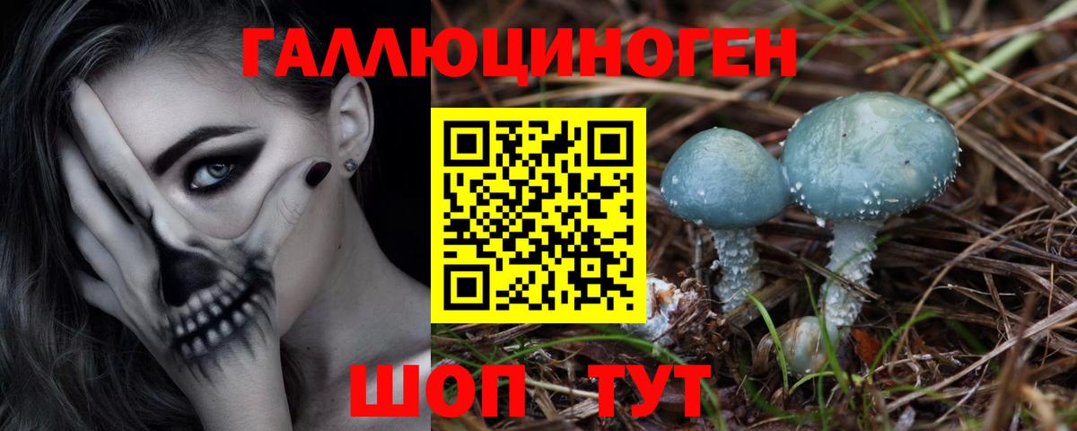 Новокубанск  Псилоцибиновые грибы мицелий  Вход с VPN 
