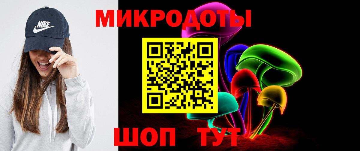 Псилоцибиновые грибы прущие грибы Новокубанск